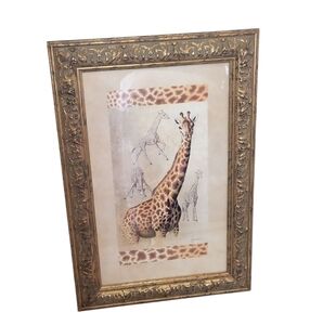 Giraffe African Animal Art Print John Richard
